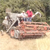 Barley Harvest