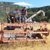 Hindley Wheat August, 16, 2014 YouTube Video