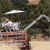 Hindley Rye Harvest